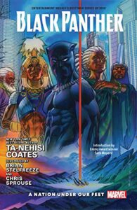 Black Panther par Ta Nehisi Coates et Brian Stelfreeze 9