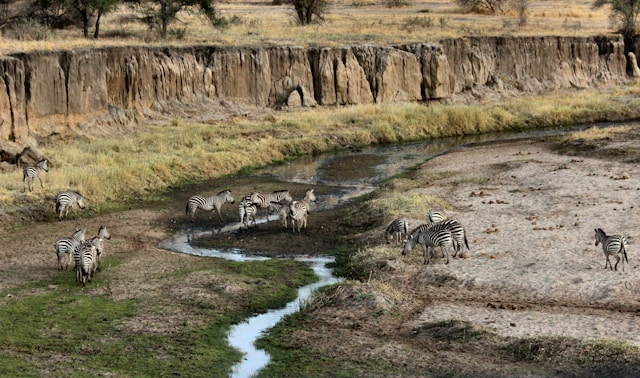 Tanzanie