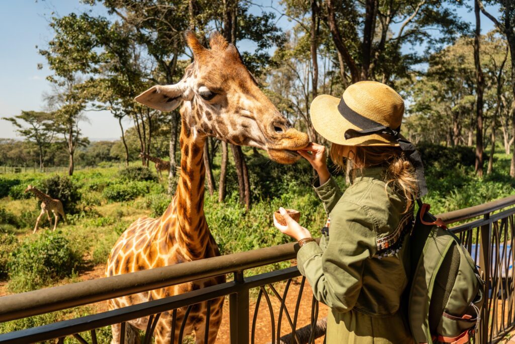 animaux a voir en Tanzanie