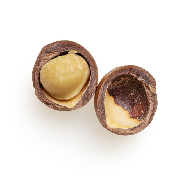 Macadamia