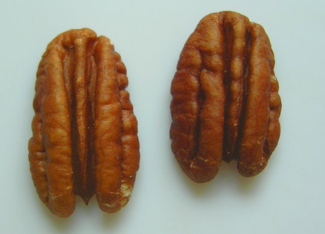 Noix de pecan