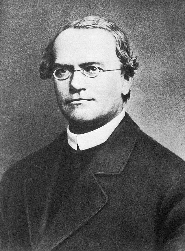 Gregor Mendel 6